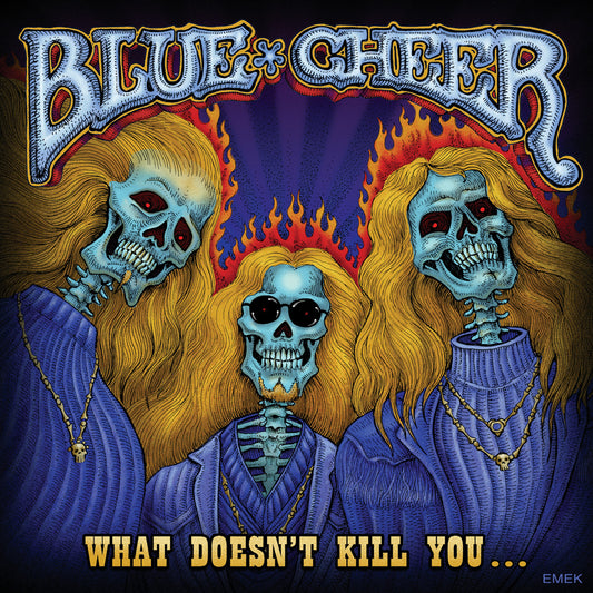 What Doesn't Kill You (CD)